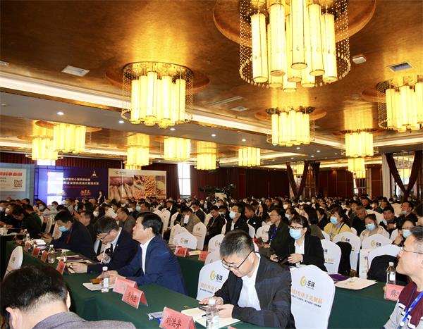 888集团(中国)有限公司官网 -welcome