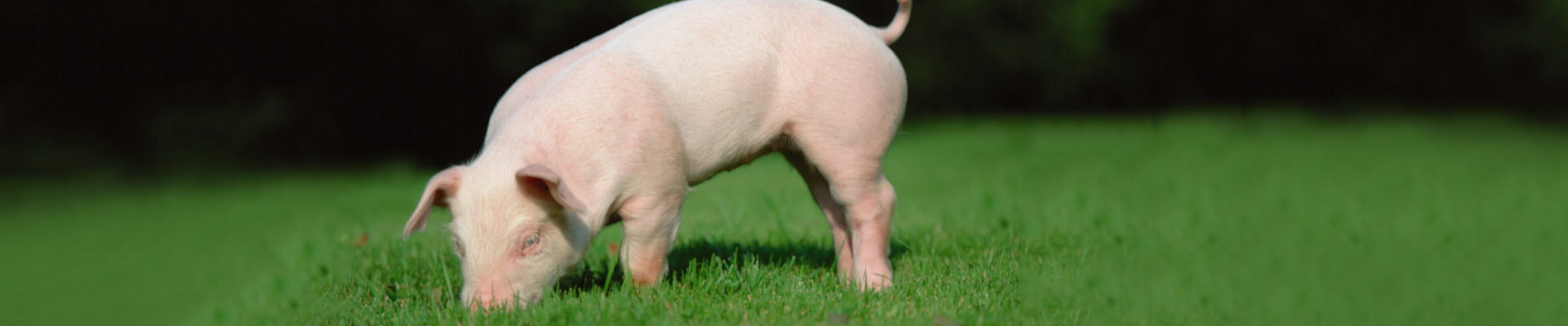 888集团(中国)有限公司官网 -welcome