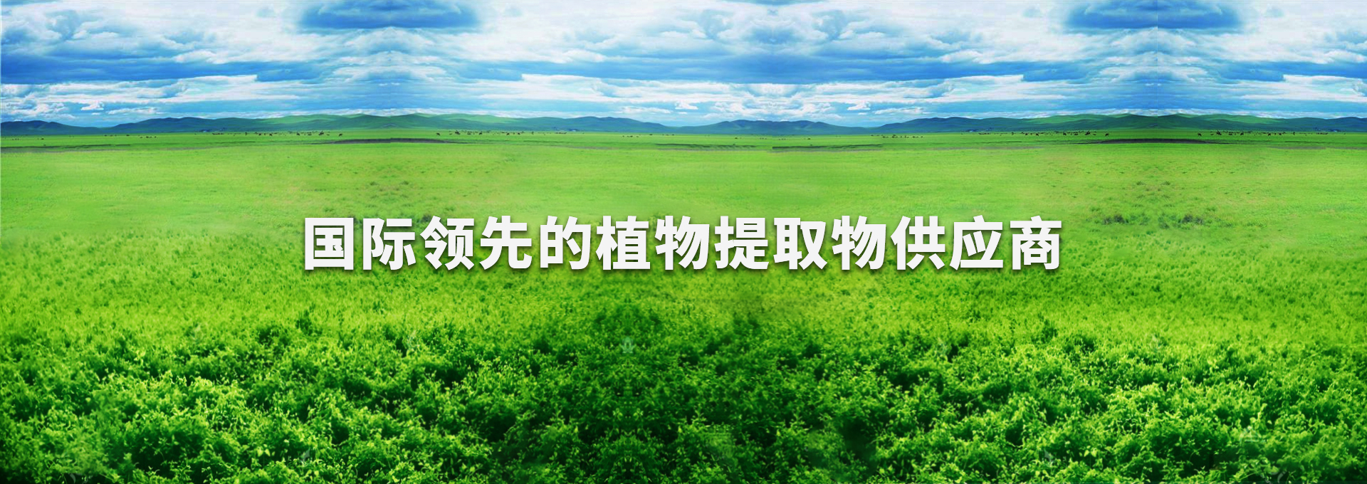 888集团(中国)有限公司官网 -welcome