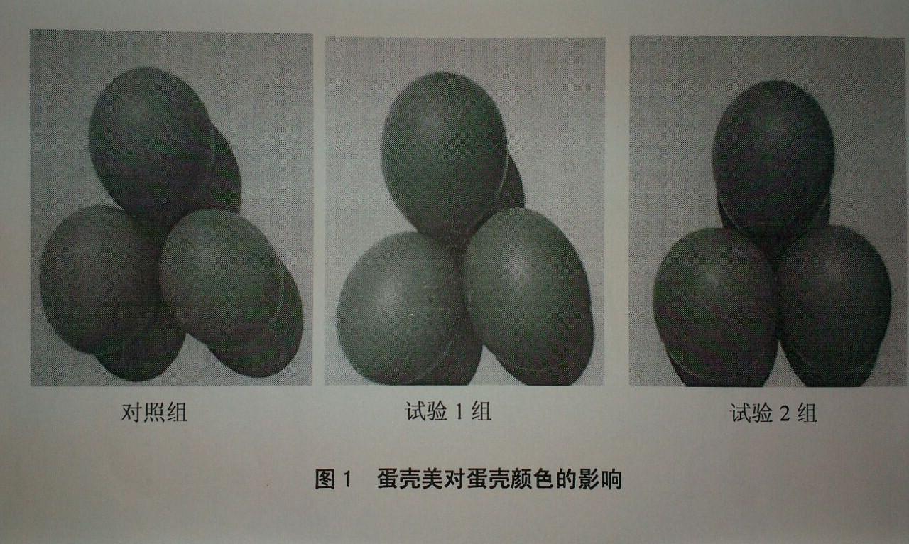 888集团(中国)有限公司官网 -welcome