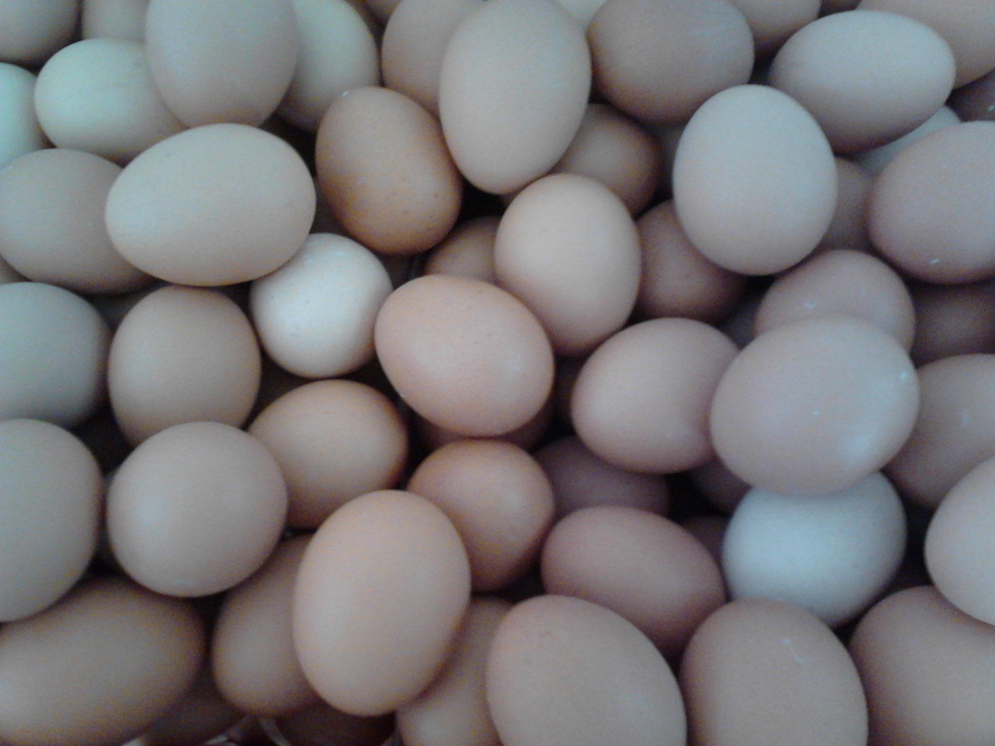 888集团(中国)有限公司官网 -welcome