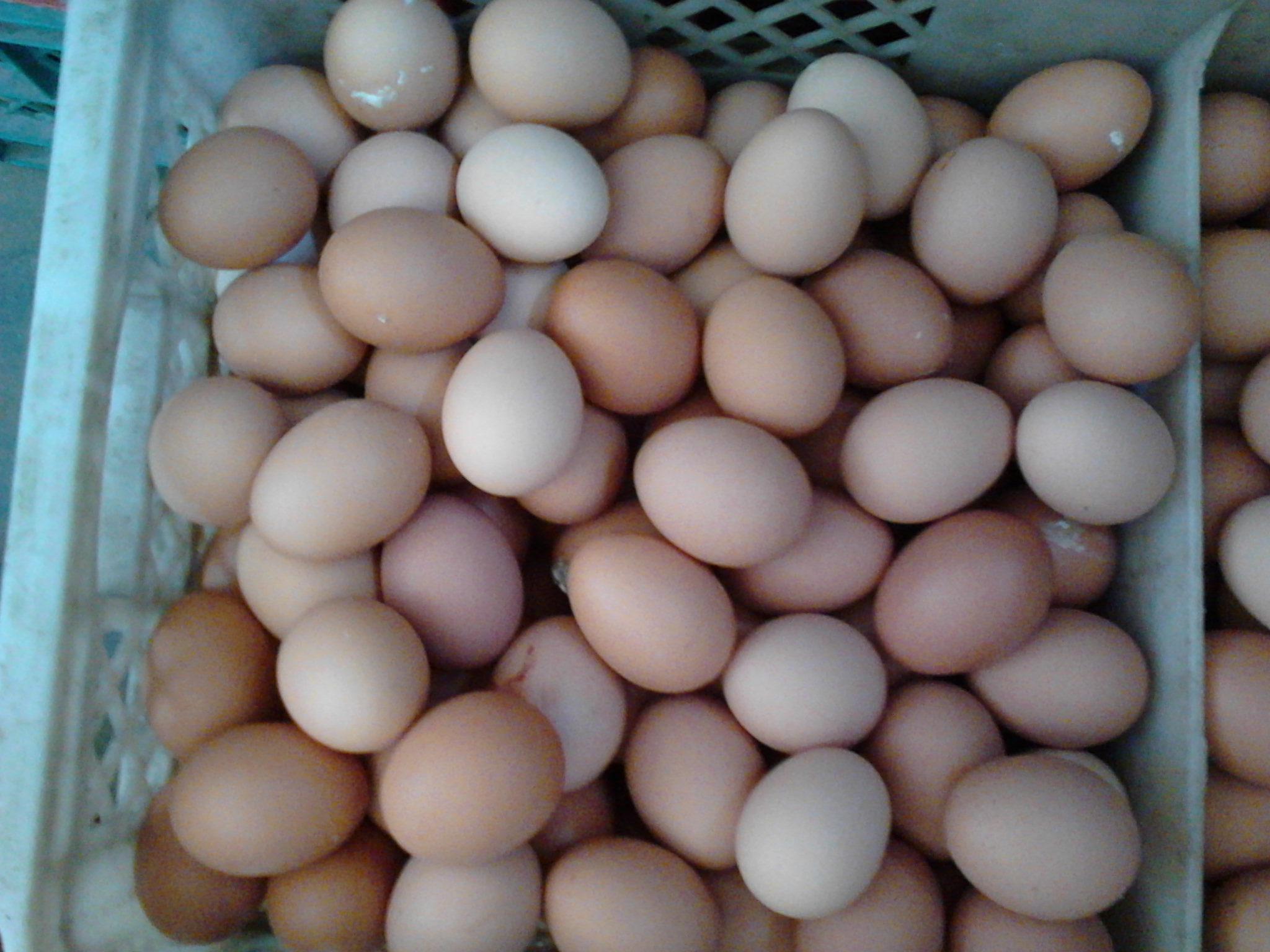 888集团(中国)有限公司官网 -welcome