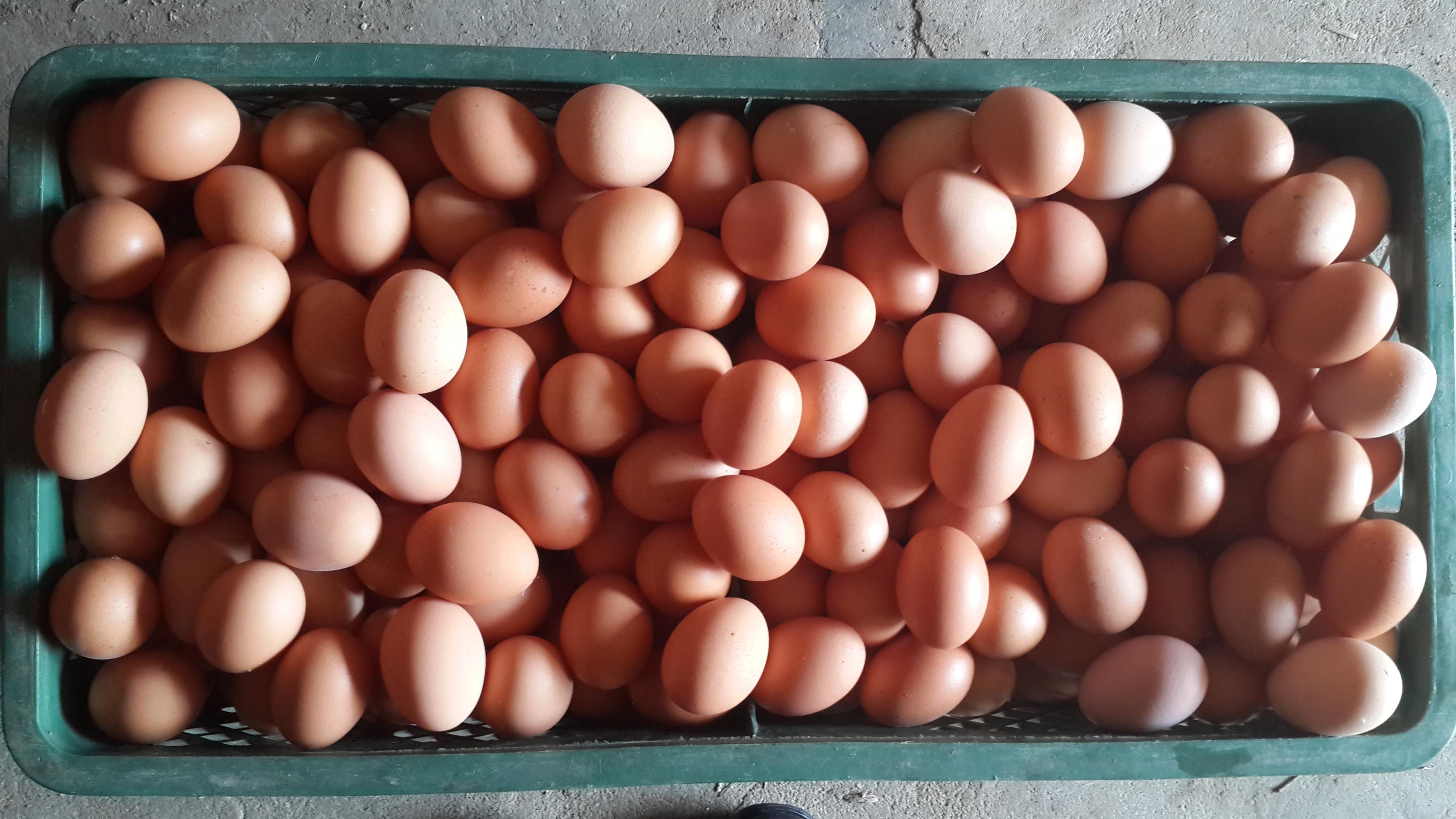 888集团(中国)有限公司官网 -welcome