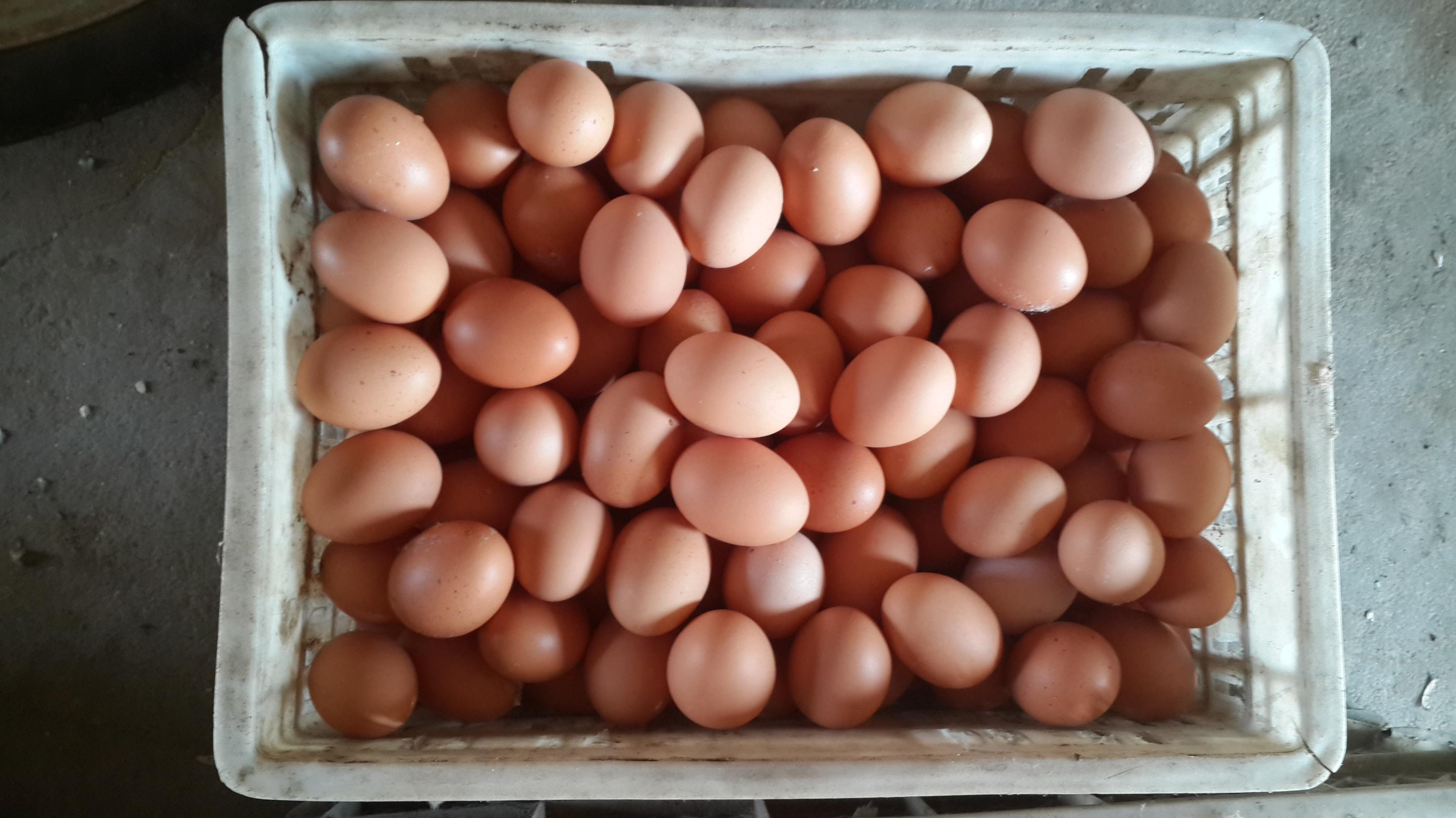 888集团(中国)有限公司官网 -welcome