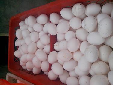 888集团(中国)有限公司官网 -welcome