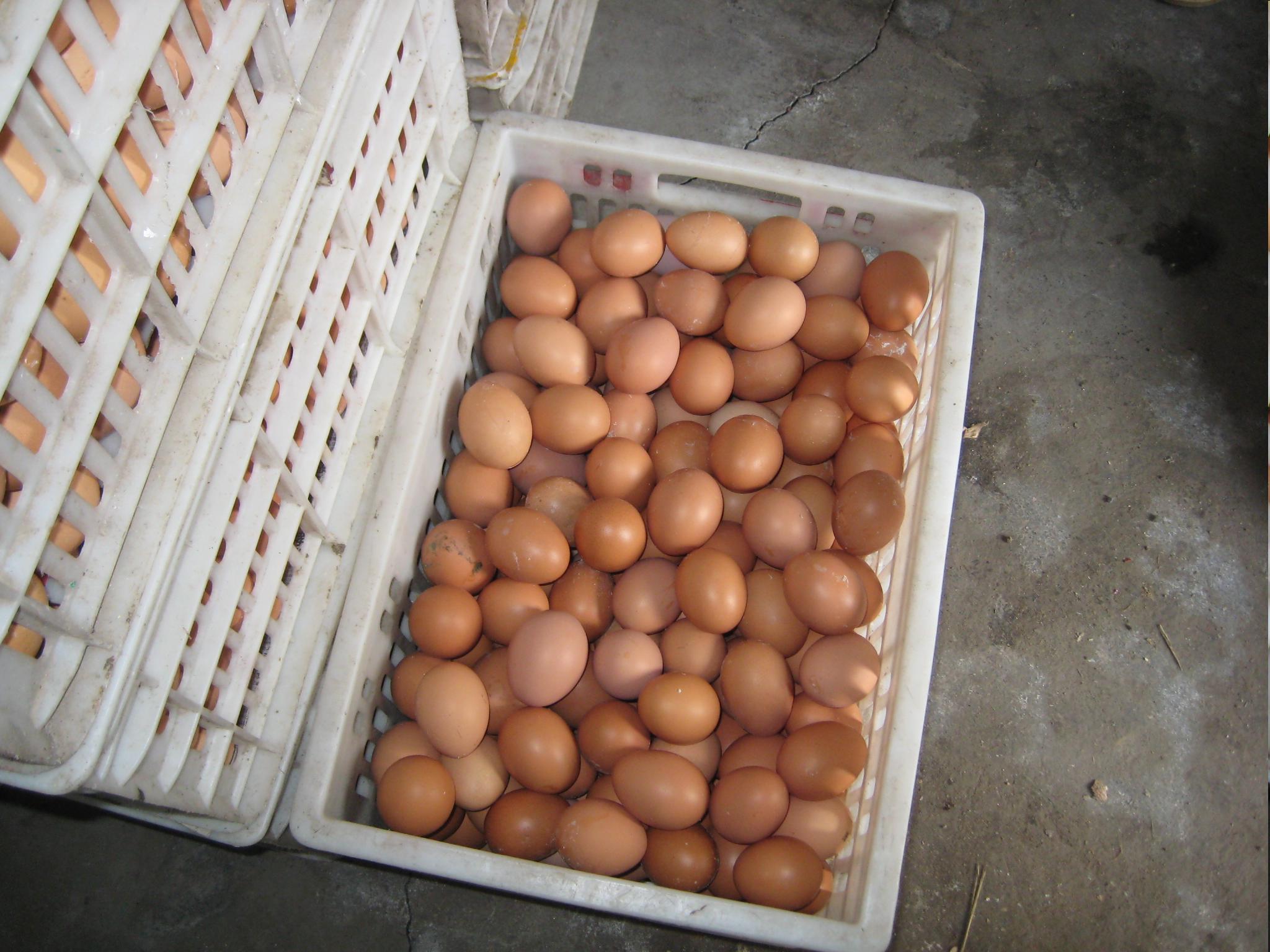 888集团(中国)有限公司官网 -welcome