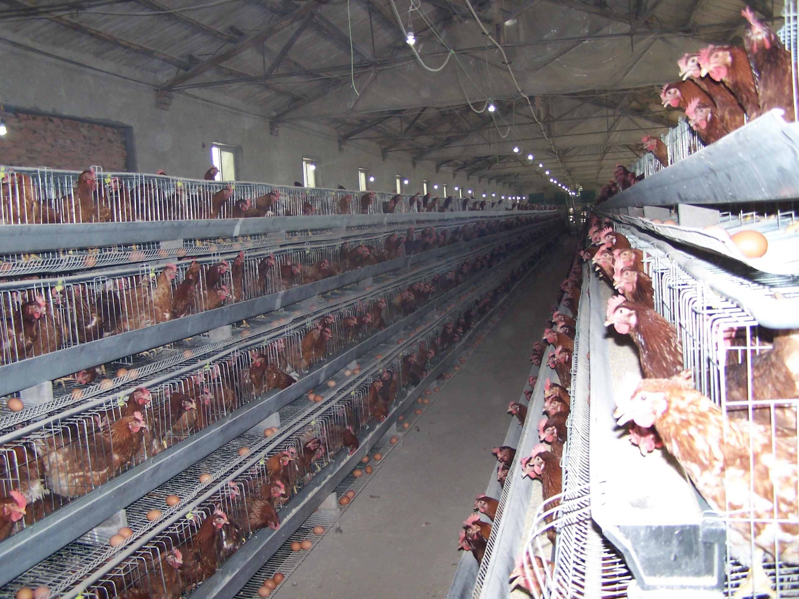 888集团(中国)有限公司官网 -welcome