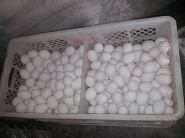 888集团(中国)有限公司官网 -welcome