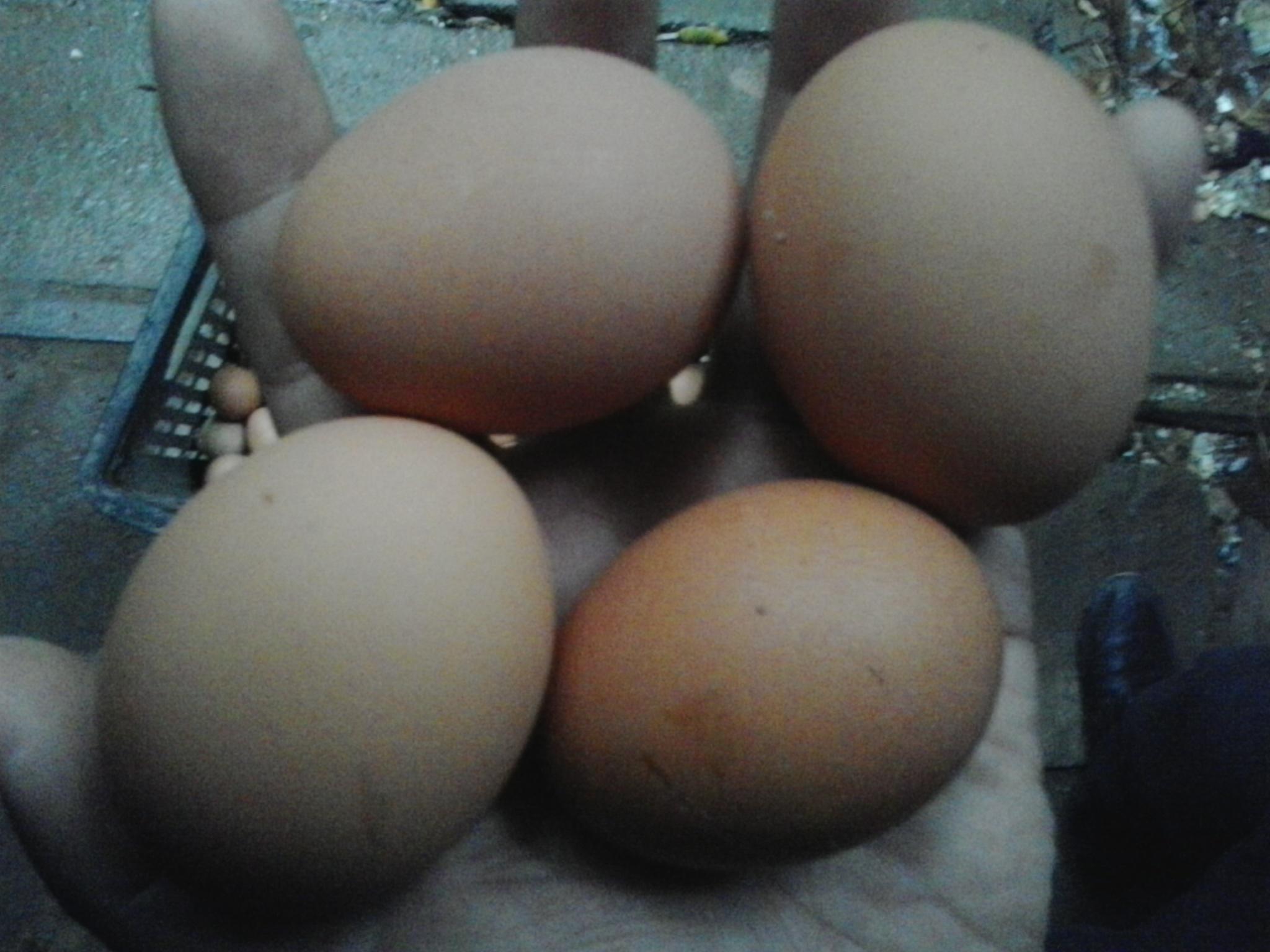 888集团(中国)有限公司官网 -welcome