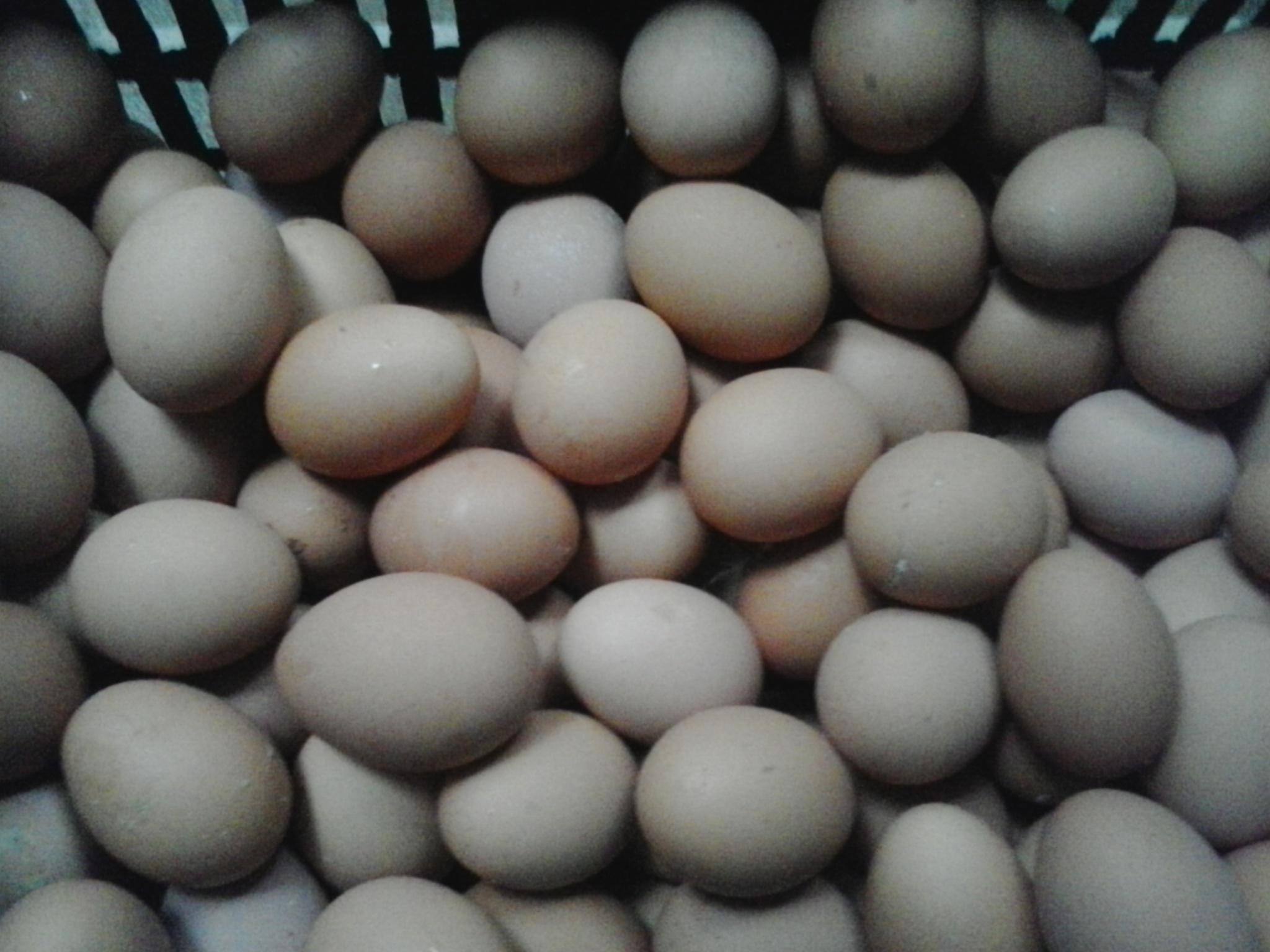 888集团(中国)有限公司官网 -welcome