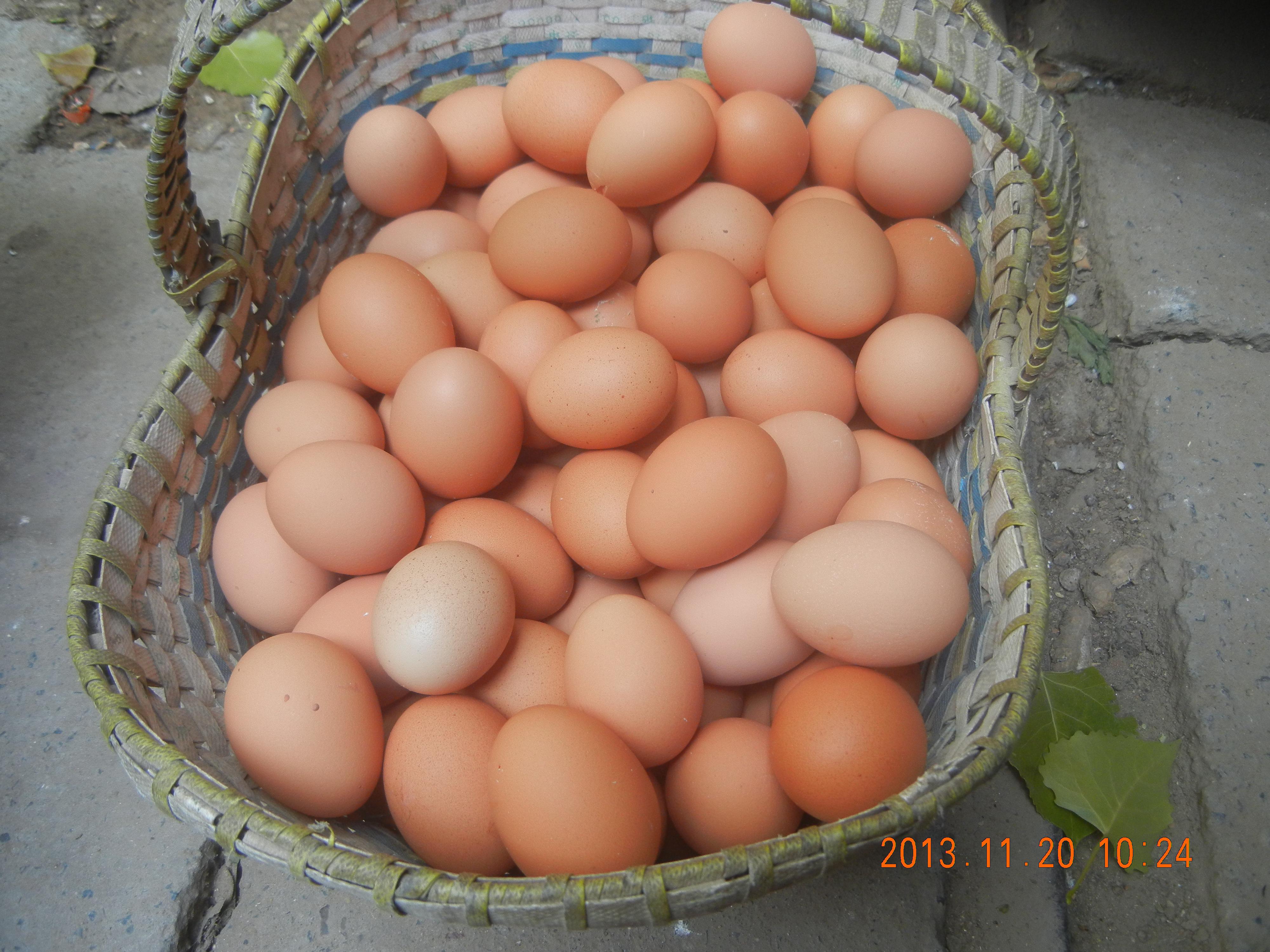 888集团(中国)有限公司官网 -welcome