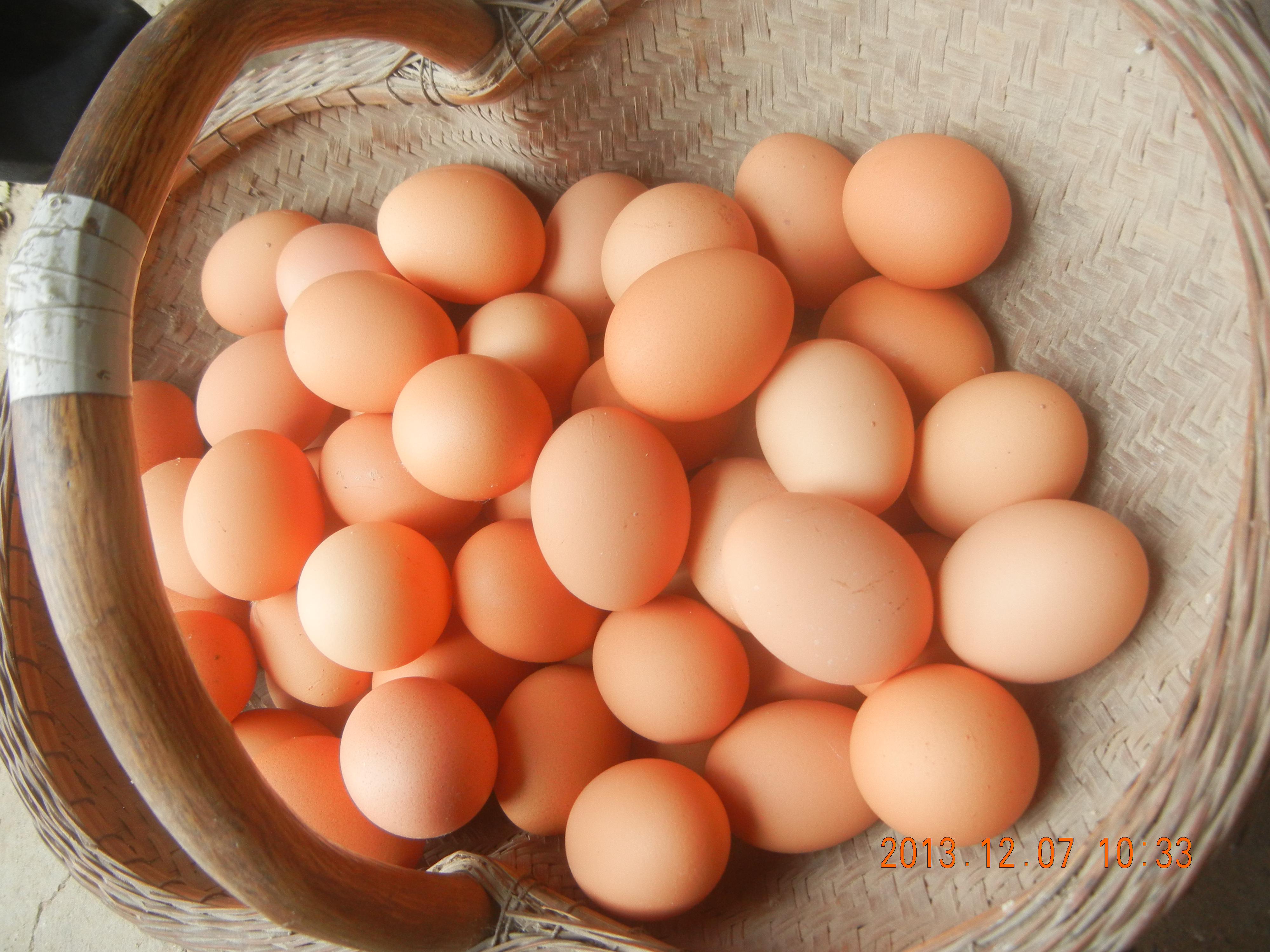 888集团(中国)有限公司官网 -welcome