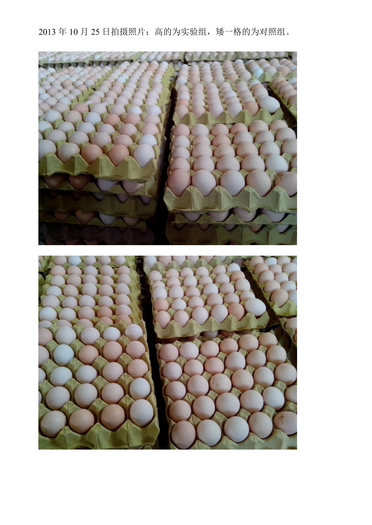 888集团(中国)有限公司官网 -welcome