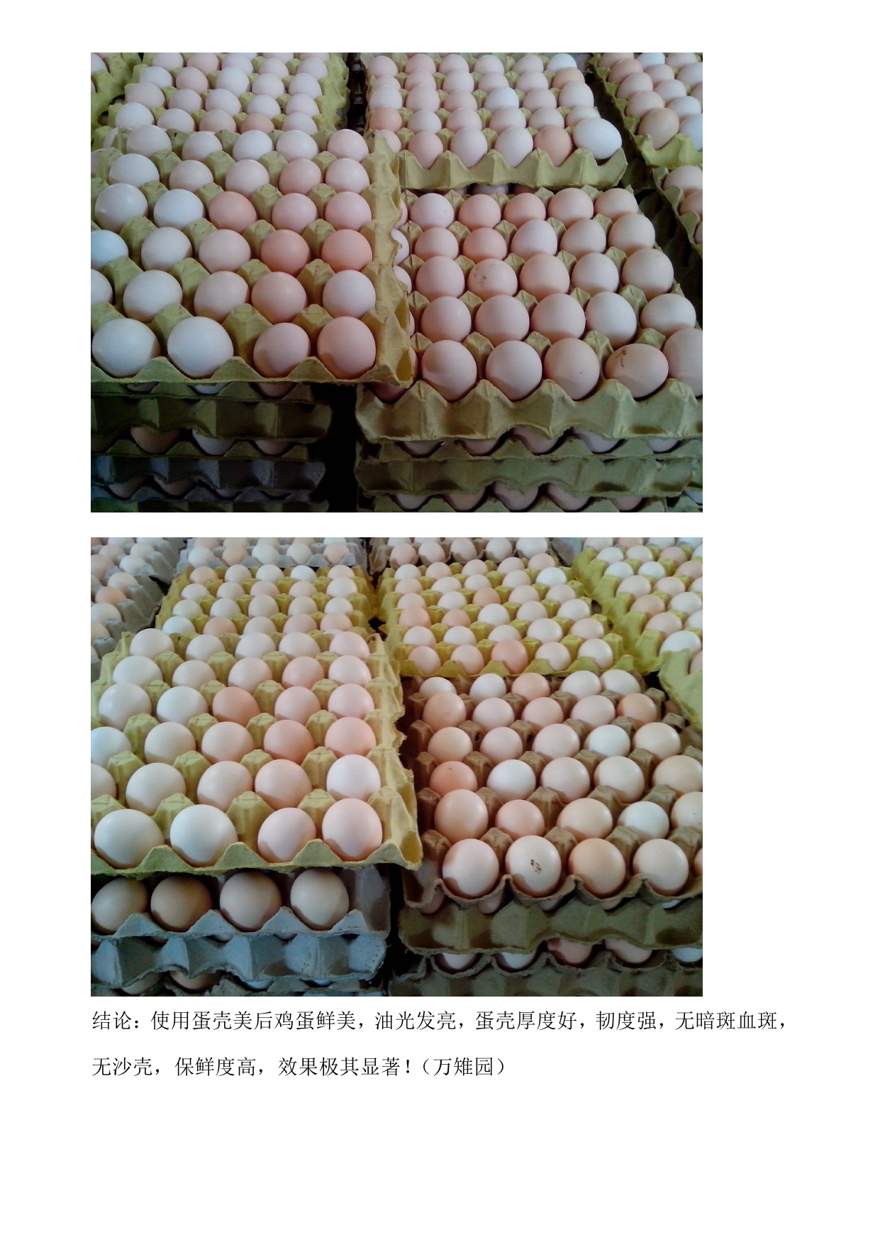 888集团(中国)有限公司官网 -welcome