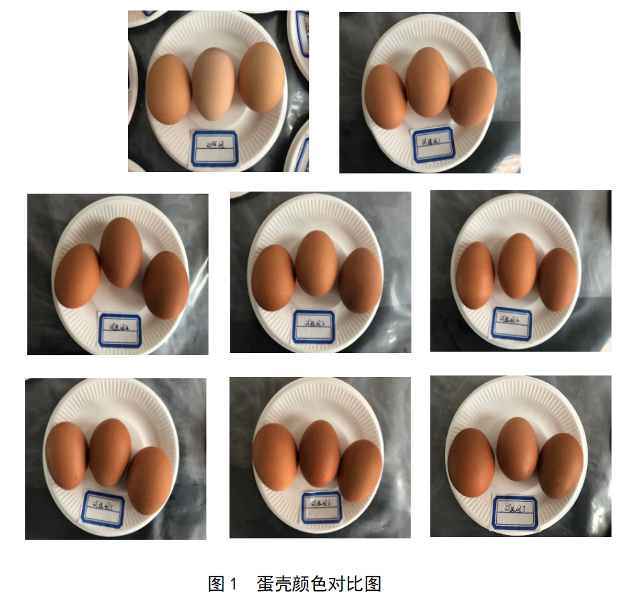 888集团(中国)有限公司官网 -welcome