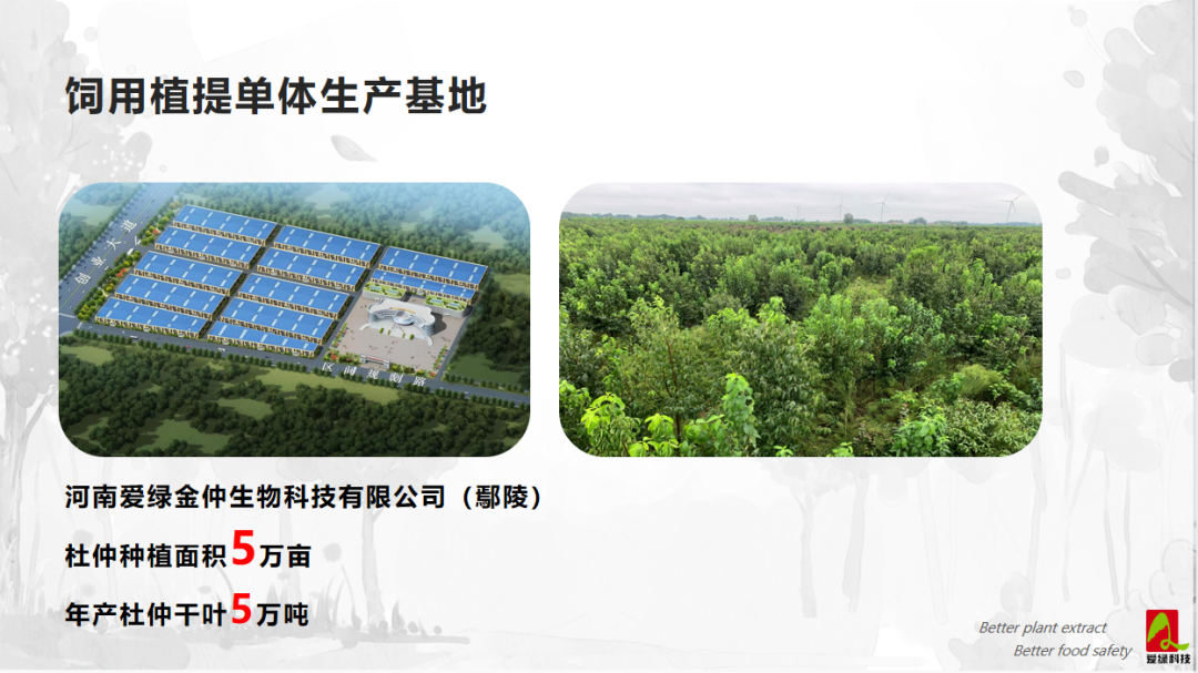 888集团(中国)有限公司官网 -welcome