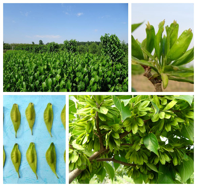 888集团(中国)有限公司官网 -welcome